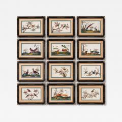 Set of twelve antique Chinese painted bird studies on pith paper - 3479250