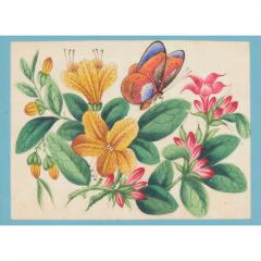 Set of twelve antique Chinese pith paintings with flowers and butterflies - 4051429