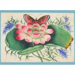 Set of twelve antique Chinese pith paintings with flowers and butterflies - 4051430