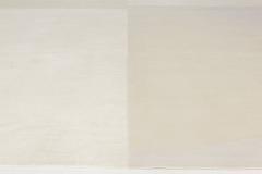 Shadow Box Rug  - 3588564