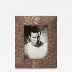 Shagreen Picture Frame - 2234579