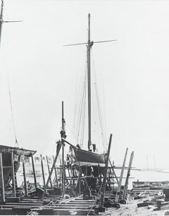 Shamrock on slipway A collection of 5 original gelatin prints by Kirk and sons - 4385189