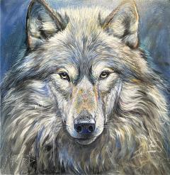 Shannon Ford WIP Wolf Portrait - 4297788