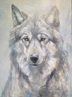 Shannon Ford With Age - 4425223