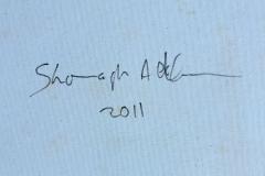 Shonagh Adelman Mixed Media Painting House on Fire 2011 - 4432396