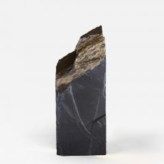 Silas Chermant Fracture - 4319608