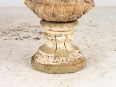 Single Buff Terracotta Scottish Urn Planter 19th century - 3862865