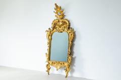 Small Rococ carved and gilded leaf mirror with original silvered mirror  - 2728271