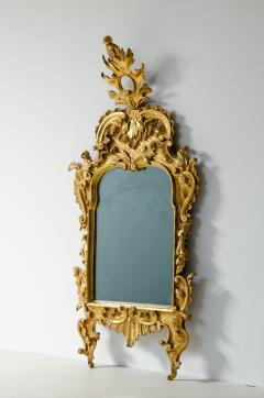 Small Rococ carved and gilded leaf mirror with original silvered mirror  - 2728284