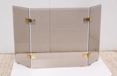 Smoked Glass And Brass Foliding Fireplace Screen - 1951519