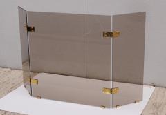 Smoked Glass And Brass Foliding Fireplace Screen - 1951520