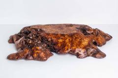 Solid Burled Elm Root Bowl by Tripp Espenet - 3863883