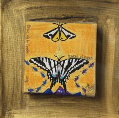 Soo Young Kim Butterfly Queen 2 - 4414902