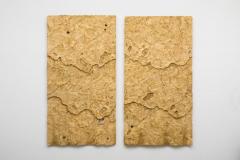 Sophie Coryndon Sophie Coryndon Dossel Diptych UK 2018 - 972619