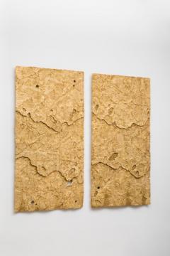 Sophie Coryndon Sophie Coryndon Dossel Diptych UK 2018 - 972624