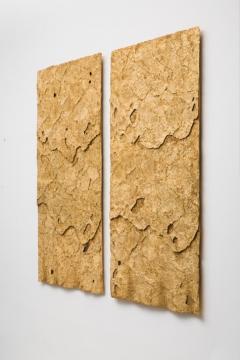 Sophie Coryndon Sophie Coryndon Dossel Diptych UK 2018 - 972625