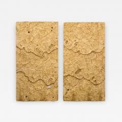 Sophie Coryndon Sophie Coryndon Dossel Diptych UK 2018 - 973835