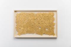 Sophie Coryndon Sophie Coryndon Fragment UK 2018 - 848421
