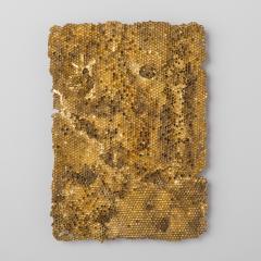 Sophie Coryndon Sophie Coryndon Hoard UK 2016 - 218095