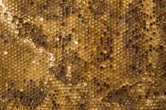 Sophie Coryndon Sophie Coryndon Hoard UK 2016 - 218096
