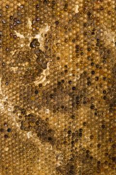 Sophie Coryndon Sophie Coryndon Hoard UK 2016 - 218097