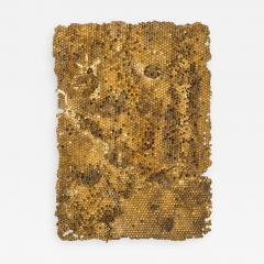 Sophie Coryndon Sophie Coryndon Hoard UK 2016 - 218723