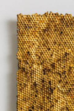 Sophie Coryndon Sophie Coryndon Hoard VI UK 2016 - 972663