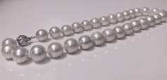 South Sea Cultured Pearls Necklace - 1071280