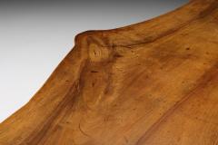 Special Shaped Burl Wabi Sabi Bench 1950s - 2460634