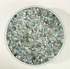 Spectacular Abalone Shell Coffee Table  - 1549102