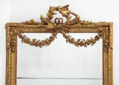 Spectacular Palatial 19th Century Italian Carved Gilt Wood Mirror  - 4061231