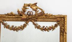 Spectacular Palatial 19th Century Italian Carved Gilt Wood Mirror  - 4061233