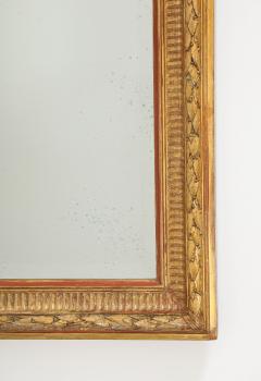 Spectacular Palatial 19th Century Italian Carved Gilt Wood Mirror  - 4061234