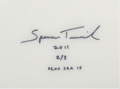 Spencer Tunick Dead Sea 15 - 692472