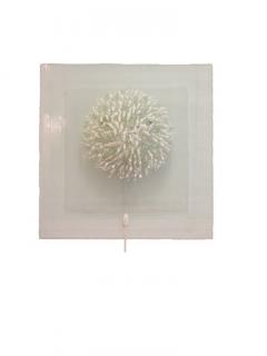 Square Hand Blown Glass Coral Look Wall Light - 4645059