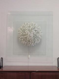 Square Hand Blown Glass Coral Look Wall Light - 4645060