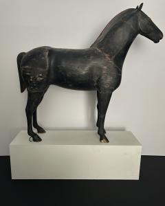 Standing Horse  - 4104718