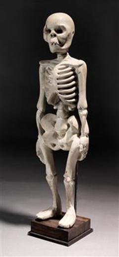 Standing Human Skeleton Sculptured in Wood - 1867027