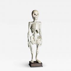 Standing Human Skeleton Sculptured in Wood - 1873411