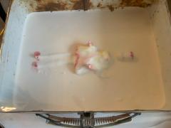 Stephanie Todhunter Stephanie Todhunter Ellie Mixed Media 2019 - 2892580