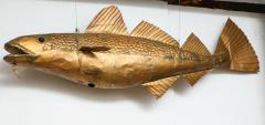 Stephen Pinney Golden Fish - 663939