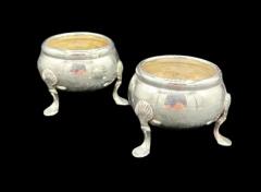 Sterling Silver Silver Salts  - 3870970