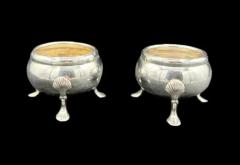 Sterling Silver Silver Salts  - 3871006