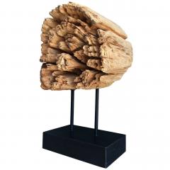 Stunning Wood Sculpture on a Metal Stand - 337999