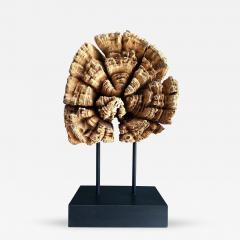 Stunning Wood Sculpture on a Metal Stand - 338123