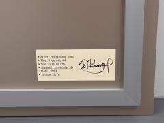 Sungyong Hong Large Hong Sung Yong 3D Work Signed Limited Edition - 3306195