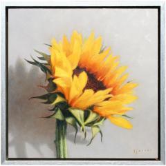 Susan N Jarvis Sunflower - 3277149