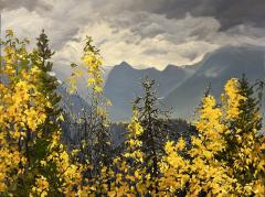 Suzanne Sandboe Evening Light Over the Athabasca Pass - 3915586