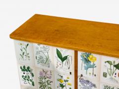 Swedish Modern Nordens Flora Cabinet Birch Floral Lithographs Sweden 1940s - 4749388