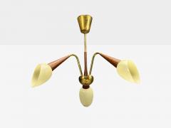Swedish Modern Pendant Light Brass Wood Glass Sweden 1920s - 4462724